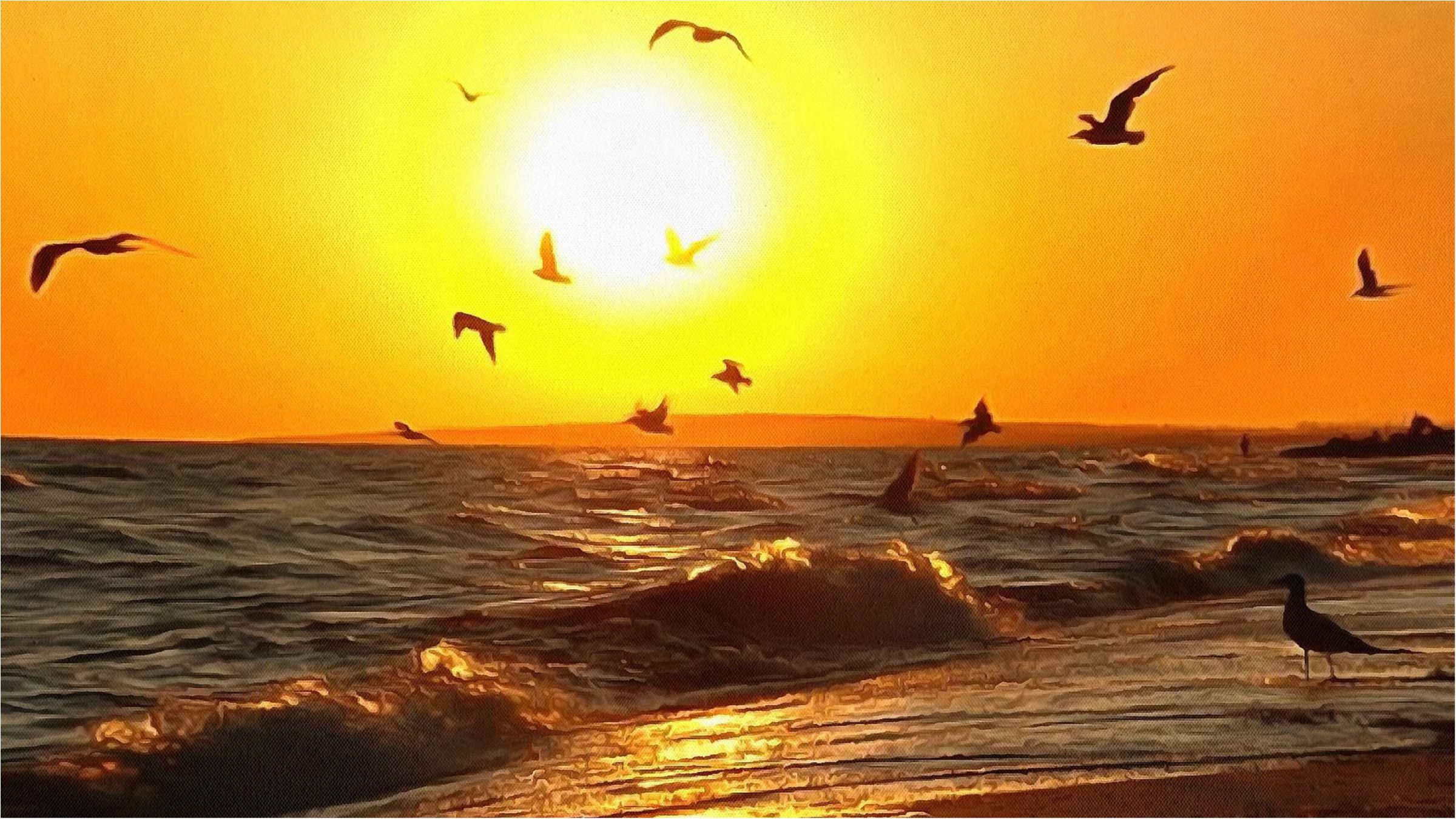 Колір Чорного моря спантеличив вчених