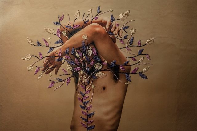 Фото та вишивка: неймовірні витвори бразильської художниці - фото 176265