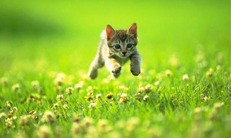 Сильні дощі та спека: якою буде погода в неділю