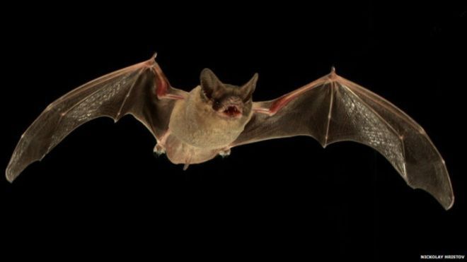 Науковці назвали материк, який створює найбільшу загрозу життю людства