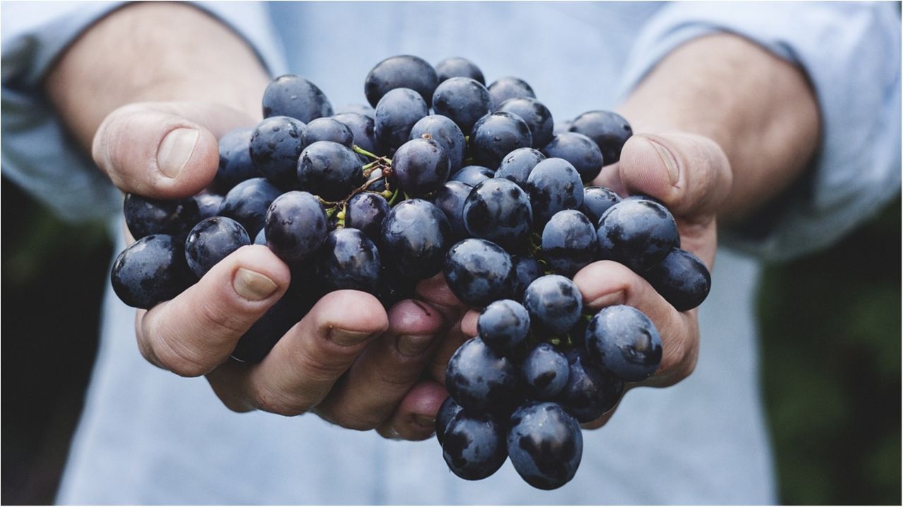 Ці смачні ягоди збережуть ваші зуби від карієсу