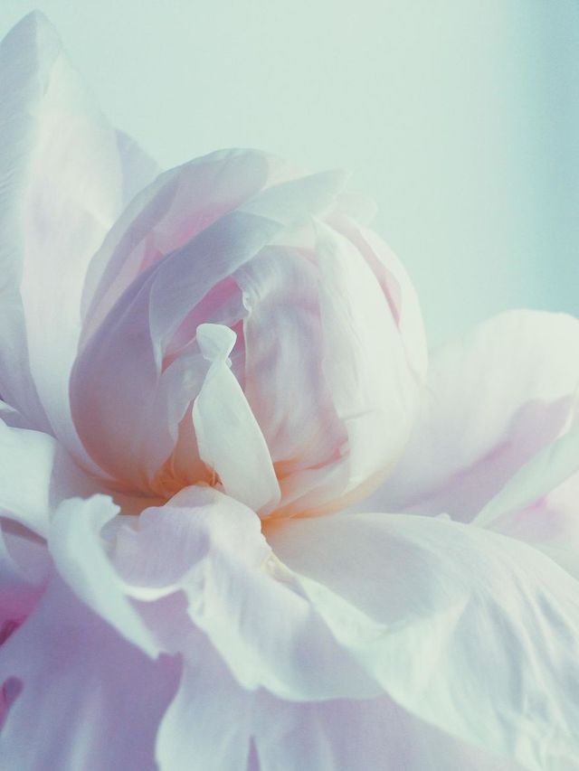 Найкращі фото зроблені на iPhone за 2017 рік - фото 177286