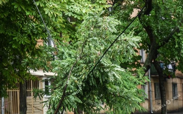 Одесою пронісся жахливий ураган: з'явилися фото - фото 175834