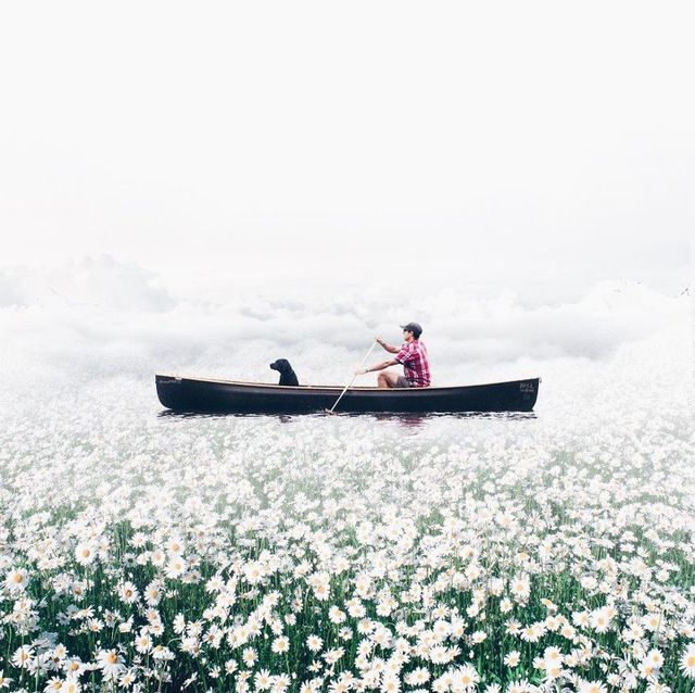 Неймовірні фото, на які варто глянути двічі - фото 177903