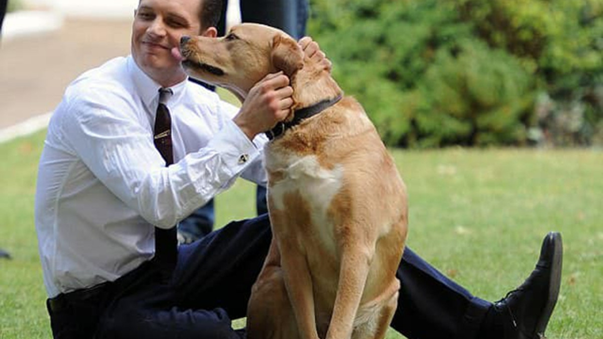 Том Харді з улюбленем собакою - фото 1