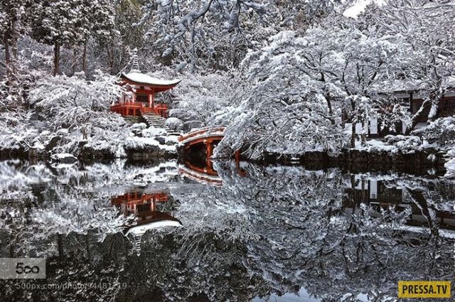 Вражаючі фото, які змінять ваш погляд на світ - фото 172690