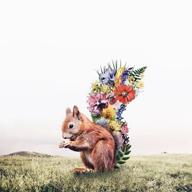 Неймовірні фото, на які варто глянути двічі - фото 177893