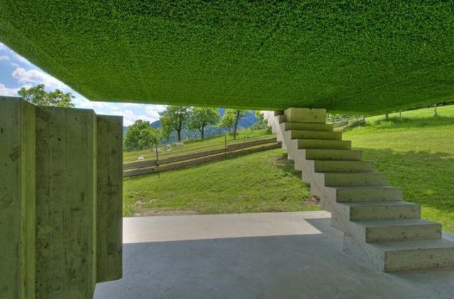 Як виглядає найзеленіше помешкання в Австрії: ефектні фото - фото 171924