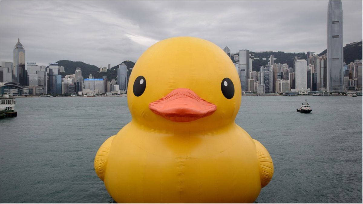 Ну за що? У Петербурзі заборонили жовту гумову качечку