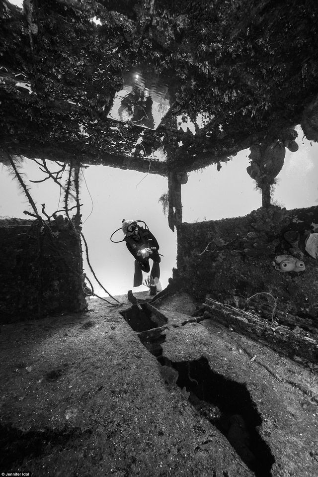 Таємниці підводного світу: неймовірні фото - фото 172023