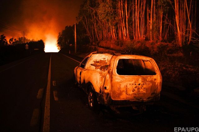 Португалію охопили масштабні лісові пожежі: моторошні фото - фото 175011