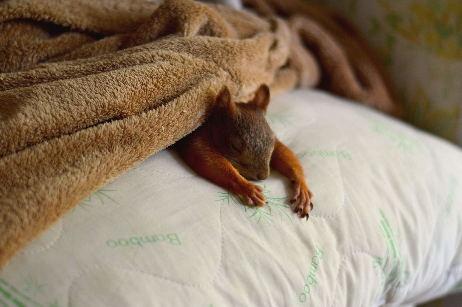 Як висипатися у спекотні дні: прості поради