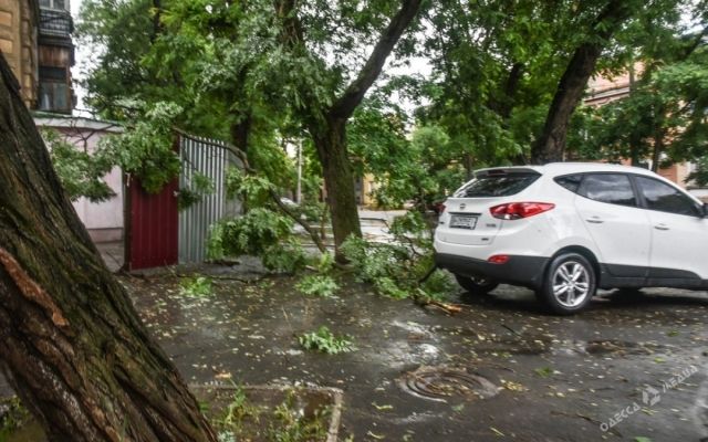 Одесою пронісся жахливий ураган: з'явилися фото - фото 175833