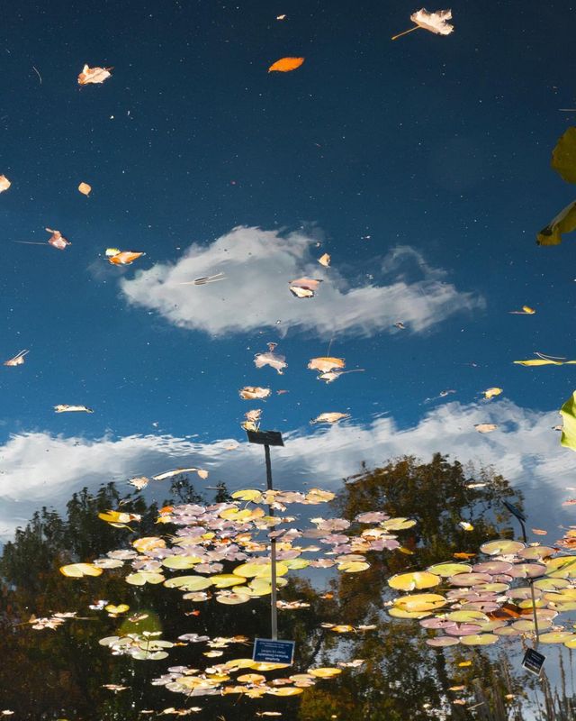 Нью-Йорк, яким його не бачать туристи: ефектні фото - фото 173446