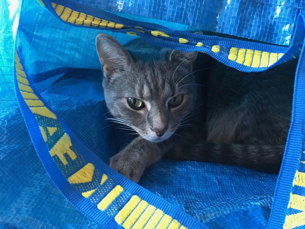 IKEA The Blue Bag - фото 1