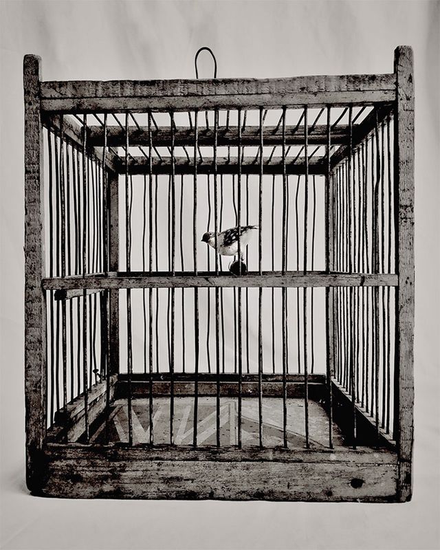 Найкращі фото зроблені на iPhone за 2017 рік - фото 177301