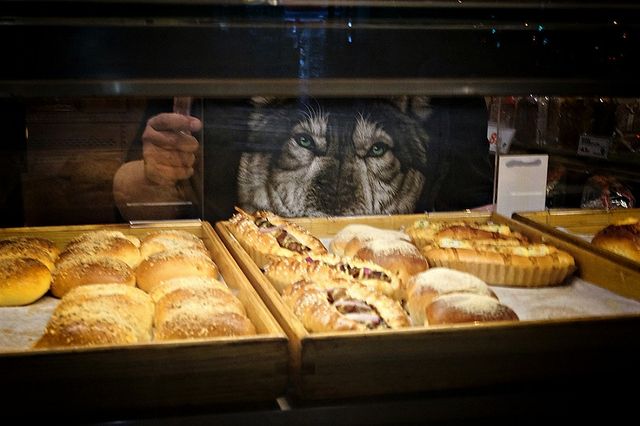 Лови момент! Незвичайна буденність в об'єктиві вуличного фотографа - фото 171468