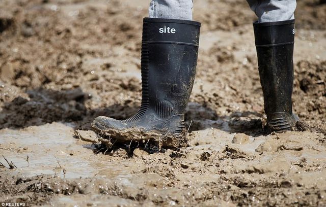 Як виглядає музичний фестиваль на болоті: яскраві фото - фото 173574