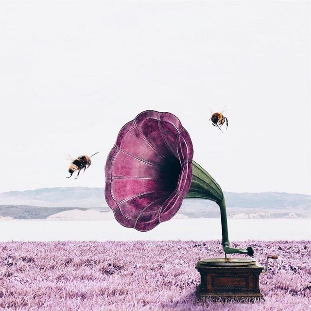 Неймовірні фото, на які варто глянути двічі - фото 177906