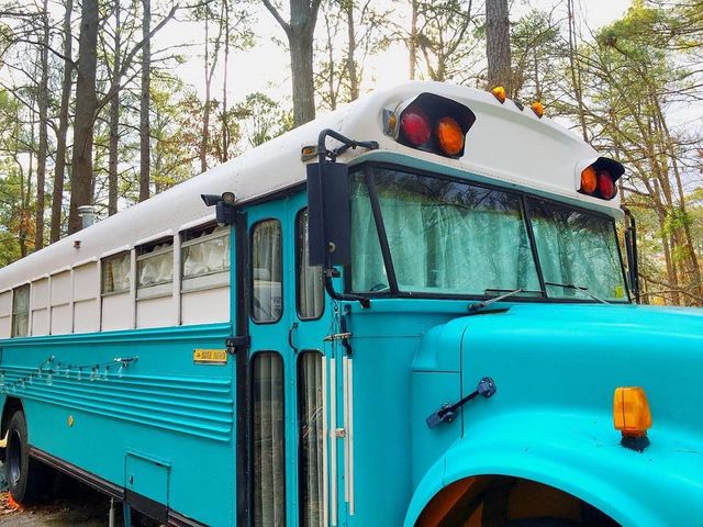 З милим рай і в... автобусі: дуже милі фото - фото 175290