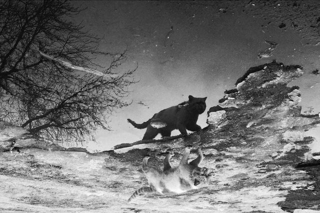 Чуттєві чорно-білі фото, які здатні заворожити - фото 175706