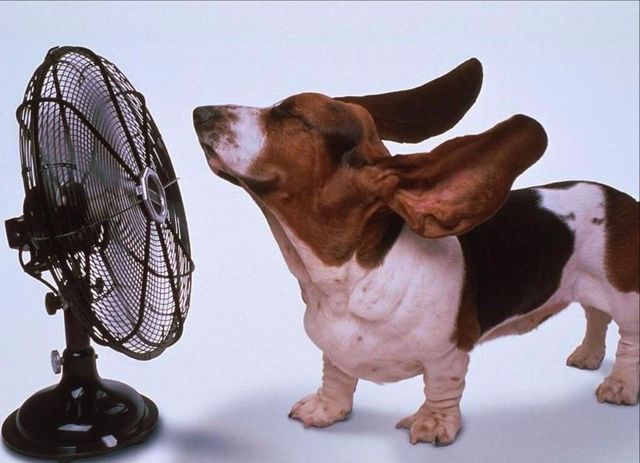 Збирайтеся у відпустку: коли в Україні буде спека? - фото 176008