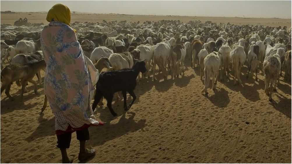 Оце так! - фото 1