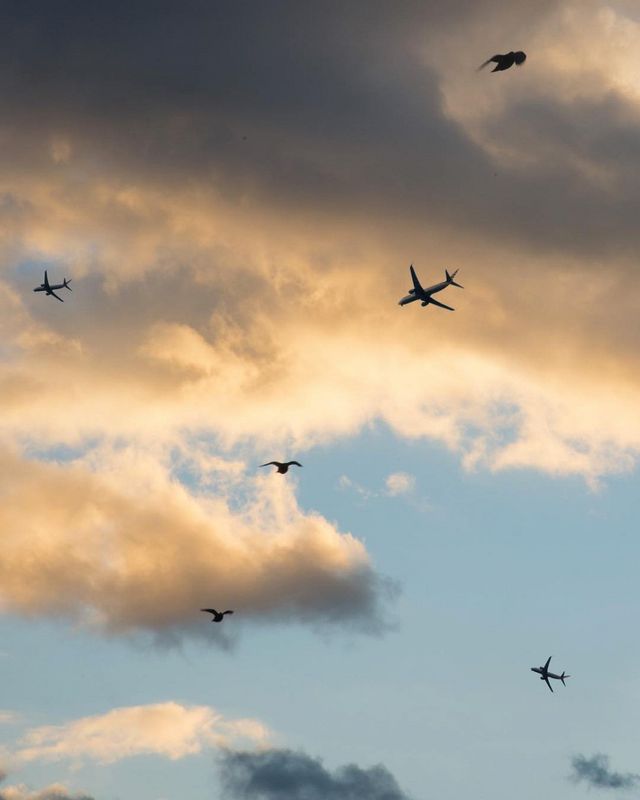 Нью-Йорк, яким його не бачать туристи: ефектні фото - фото 173444