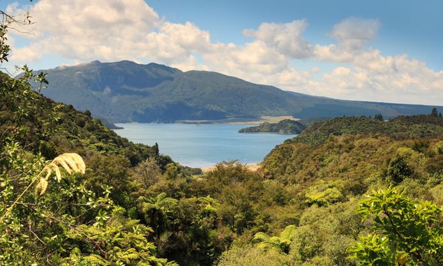 У Новій Зеландії знайшли "восьме диво світу" - фото 173863