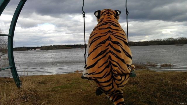 Вчені з'ясували, чим небезпечне спілкування на сумні теми - фото 171771