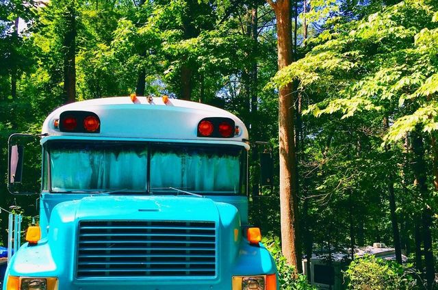 З милим рай і в... автобусі: дуже милі фото - фото 175291