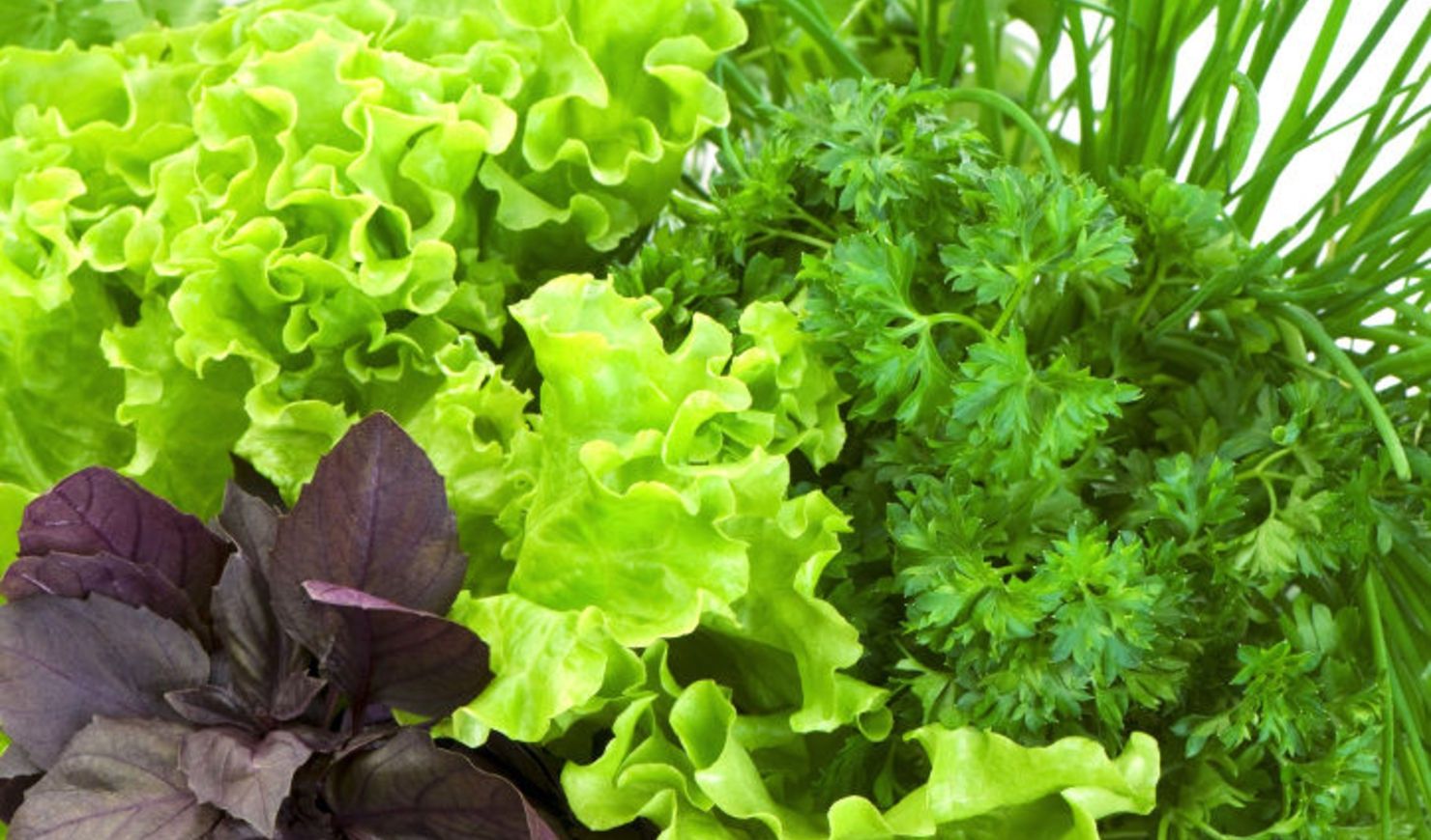 Ця зелень ідеально підходить для тих, хто прагне схуднути