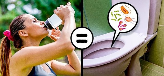 Три вагомі причини не використовувати повторно пластикові пляшки - фото 177763