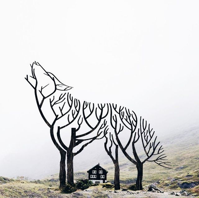 Неймовірні фото, на які варто глянути двічі - фото 177891