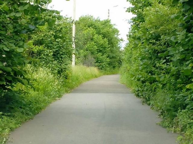 Як виглядає українська біатлонна база: шокуючі фото - фото 176556