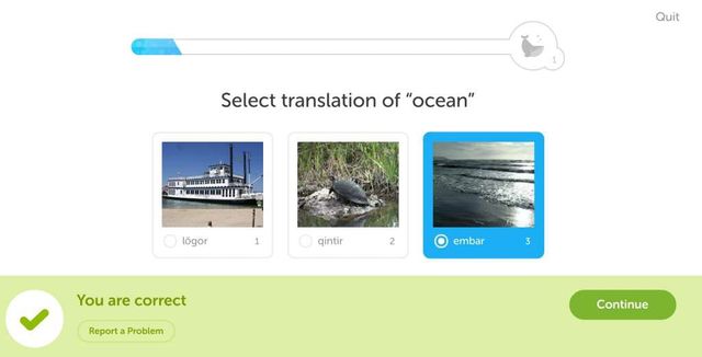 Фанати, готуйтесь! Duolingo дає можливість вивчити мову з "Гри престолів" - фото 181438