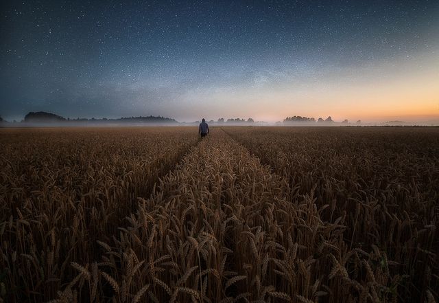 Вечірні пейзажі, від яких перехоплює дух: казкові фото - фото 179936