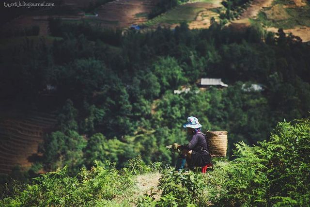 Фотограф показав незвичайні пейзажі далекого В'єтнаму - фото 185178