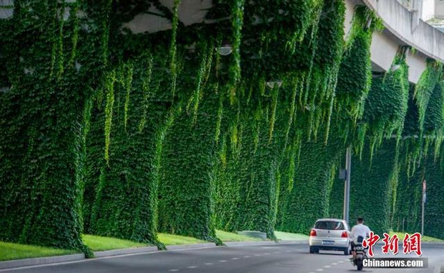 Як виглядає "тунель кохання" у Китаї - фото 181484