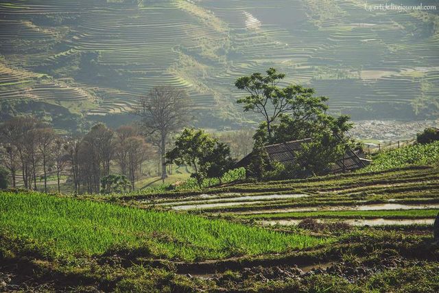 Фотограф показав незвичайні пейзажі далекого В'єтнаму - фото 185183
