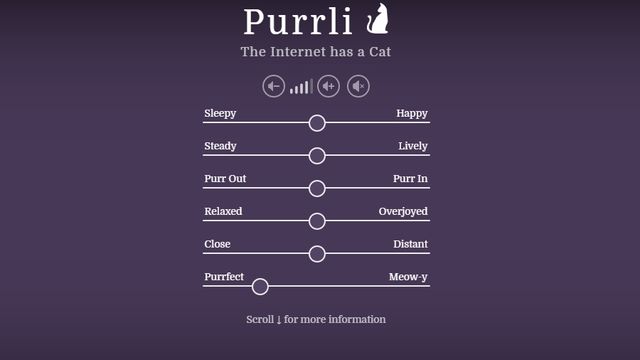 Вмикайте негайно! Ця забавка "зробить" ваш день - фото 178502