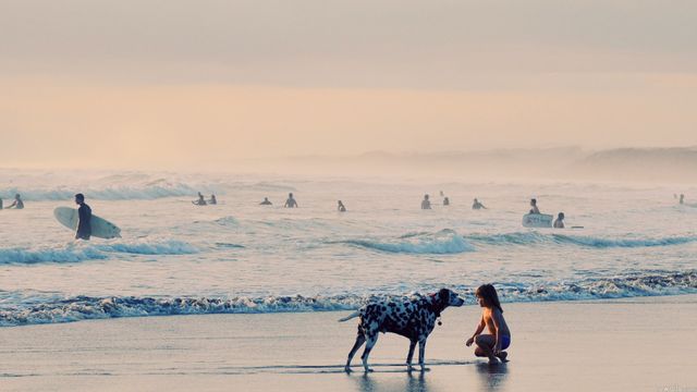 Вчені зробили несподівану заяву про собак - фото 183452