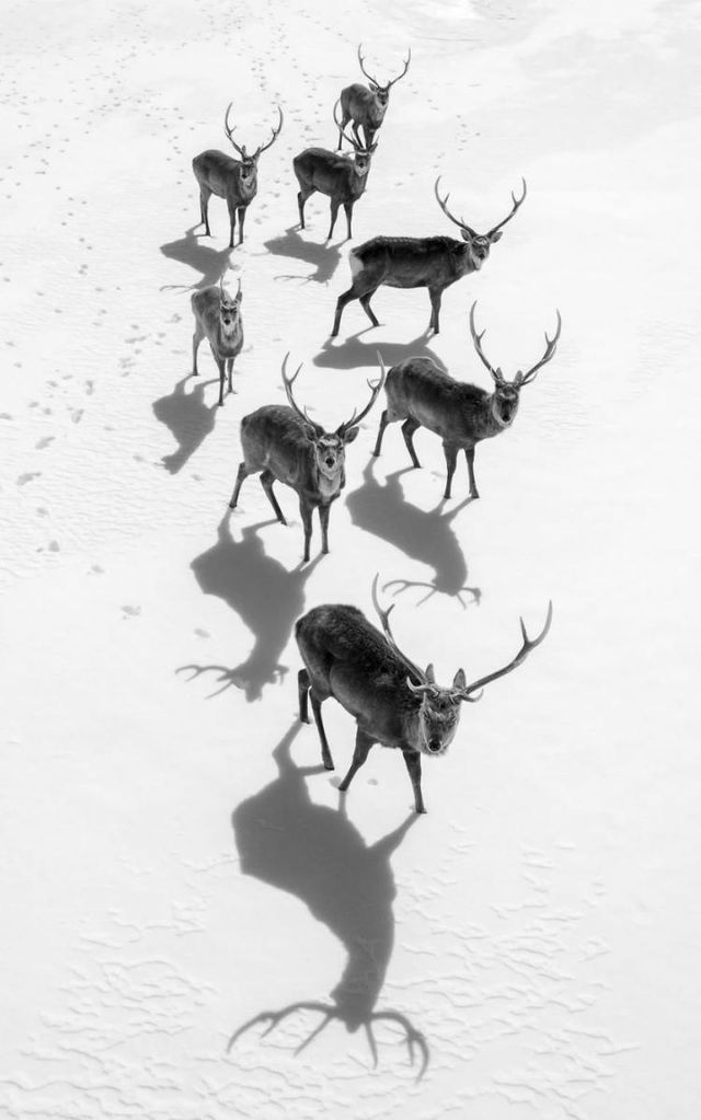 Вражаючі світлини фотоконкурсу журналу National Geographic - фото 180114