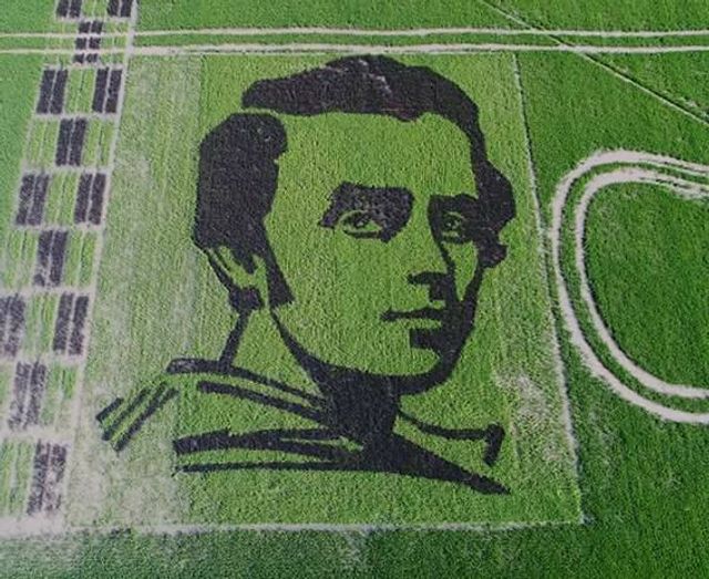 Науковці виростили портрет Тараса Шевченка, який можна побачити з космосу: фотофакт - фото 181956