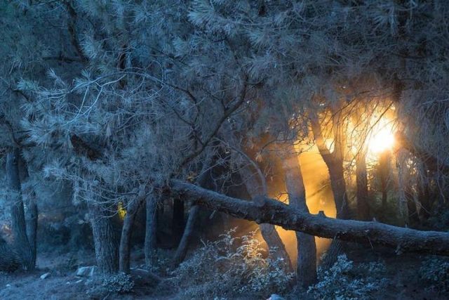 Вражаючі світлини фотоконкурсу журналу National Geographic - фото 180103