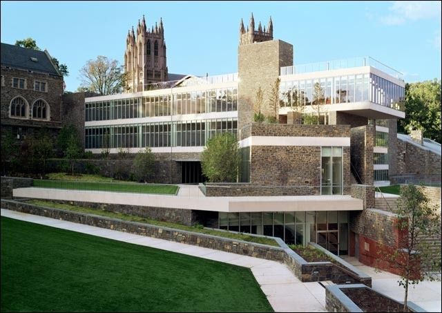 ТОП-5 найдоржчих шкіл світу - фото 185038