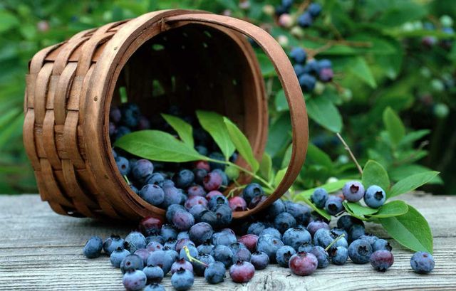 Про що свідчить колір овочів та фруктів - фото 178082