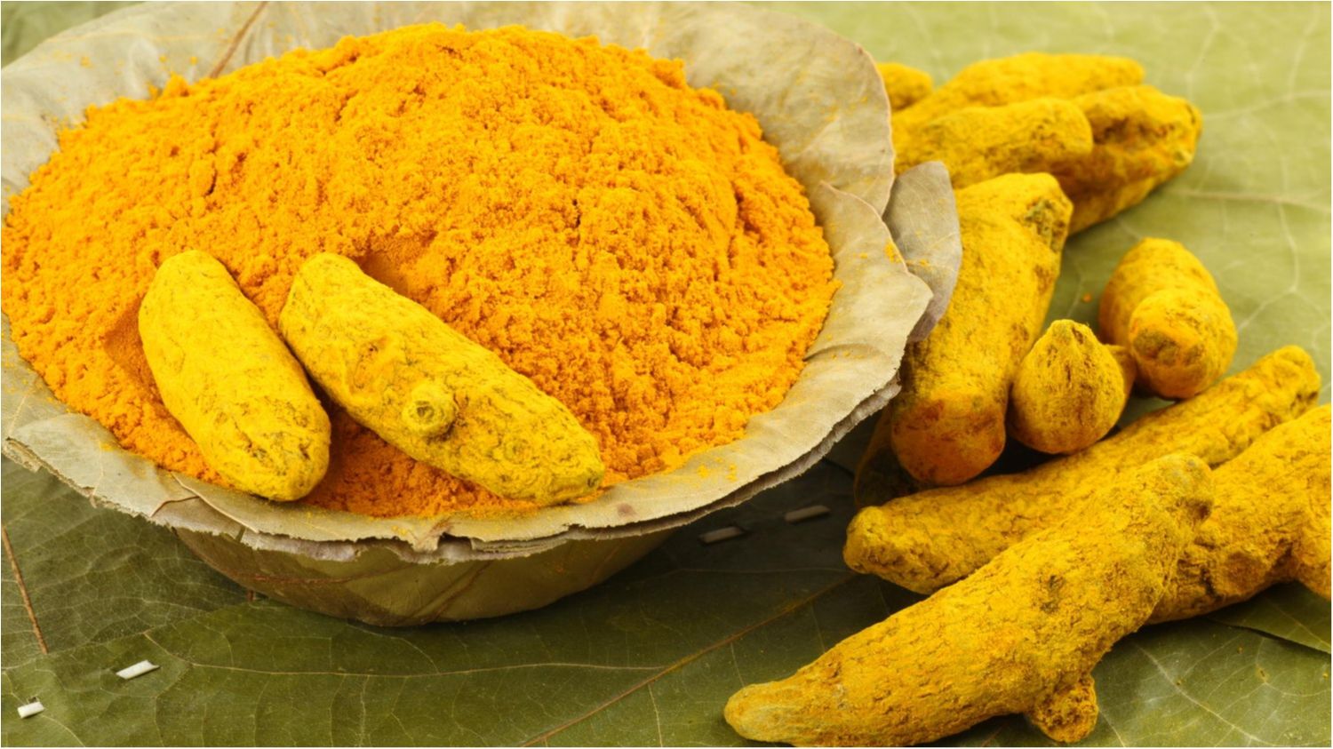 Названо спецію, яка ефективно бореться з раковими клітинами