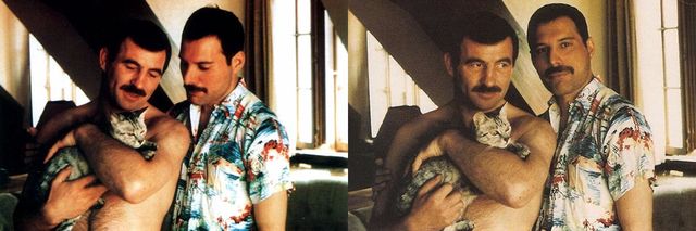 Зворушливі фото Фредді Мерк'юрі, яких ніхто не бачив - фото 178821