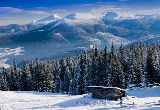 Найсексуальніший поліцейський Норвегії та сніг на Закарпатті: 16 липня у трьох фото - фото 181966